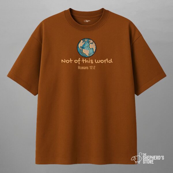 not of this world — oversized unisex t shirt